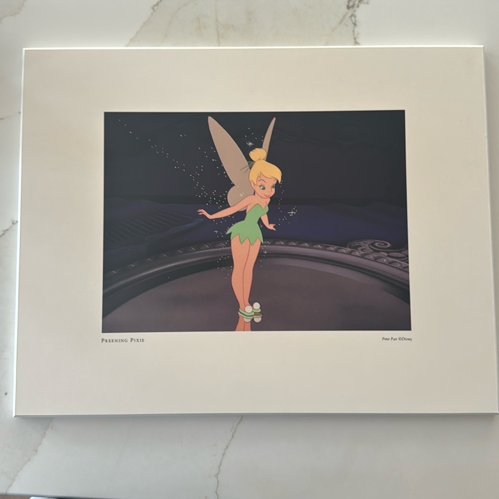 Print on tinkerbell solid wood art piece